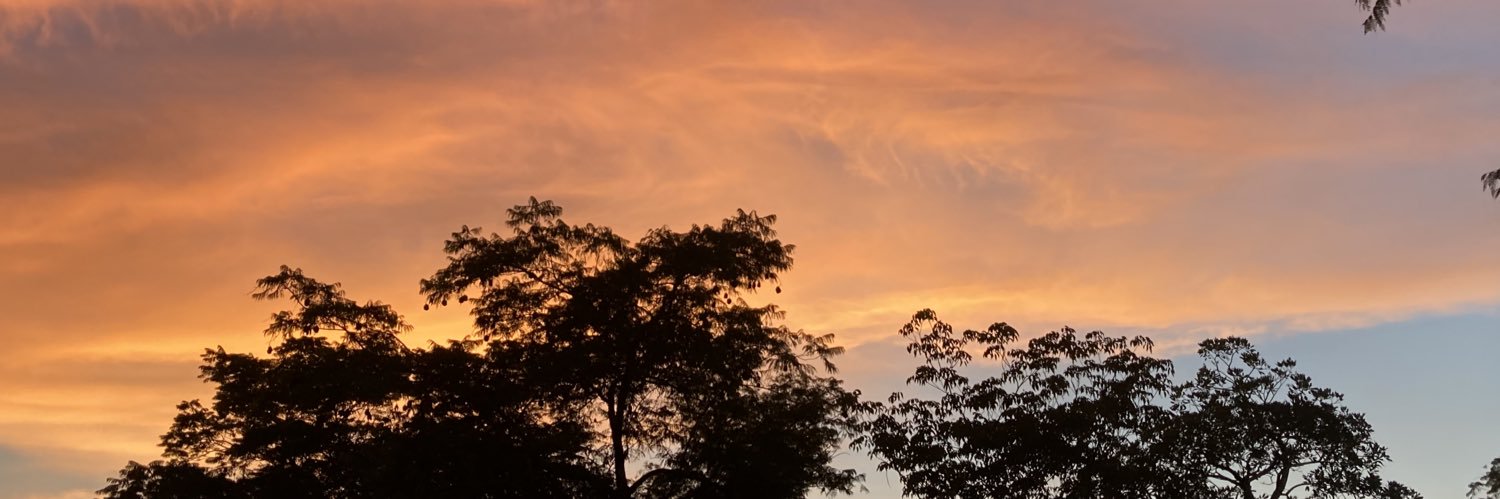Alexagorrin's profile banner image