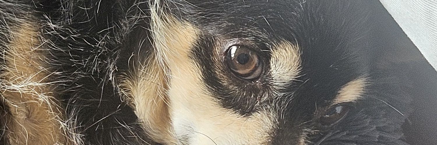 jak_idalécio🇺🇦🕊🌿🇮🇱🕊🐕🦅 banner