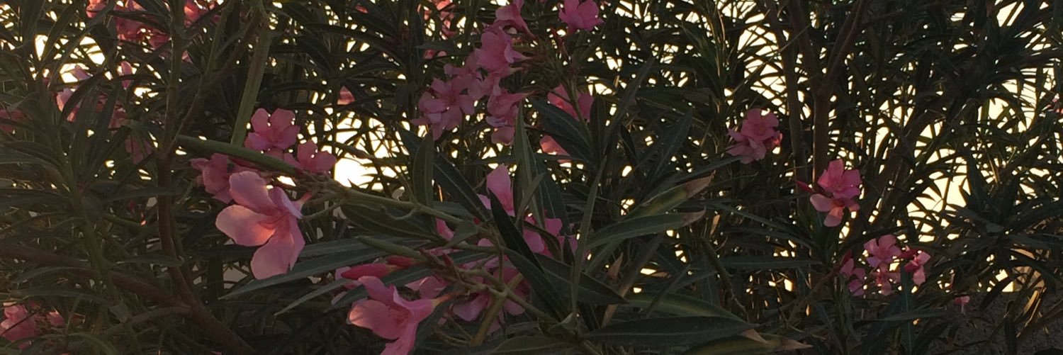 fawoaz08's profile banner image