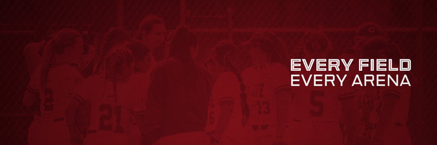 Colgate Softball banner