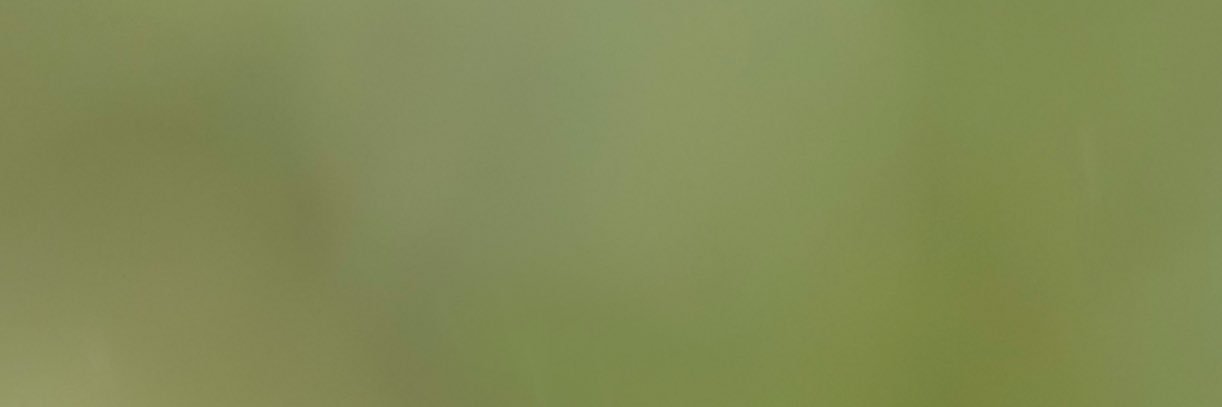osgoodwozgood's profile banner image