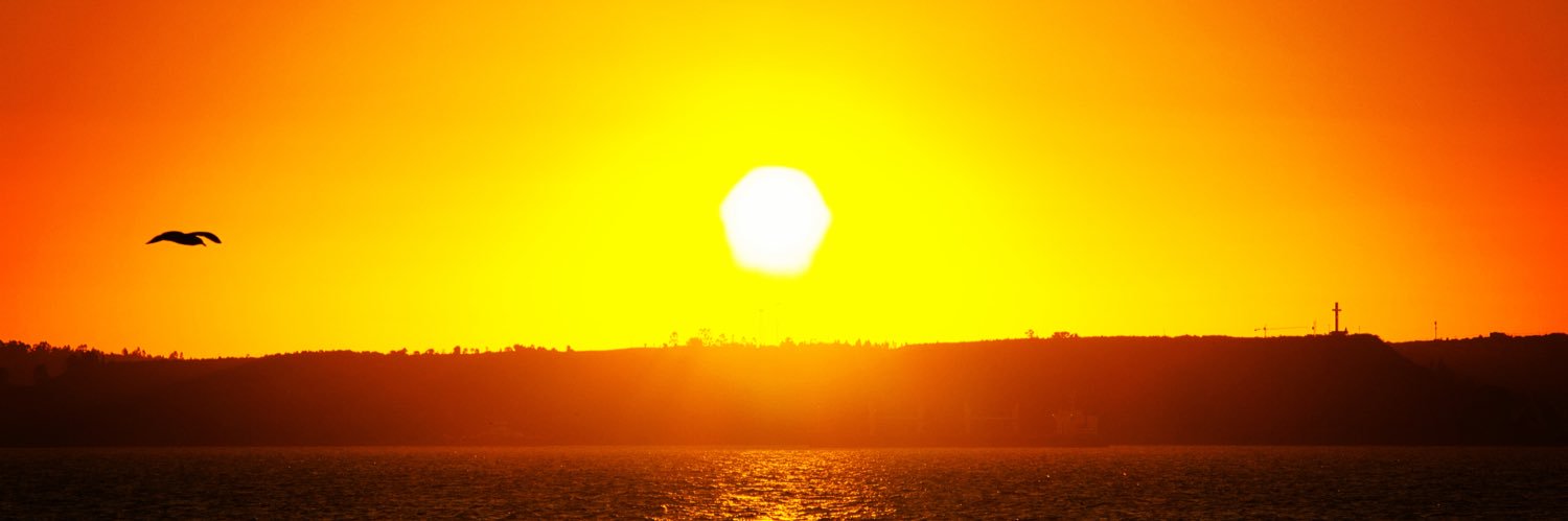 Chilean Citizen 🇨🇱 banner