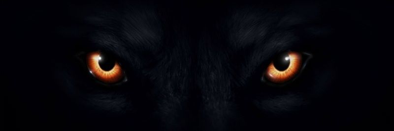 CSBaggie's profile banner image
