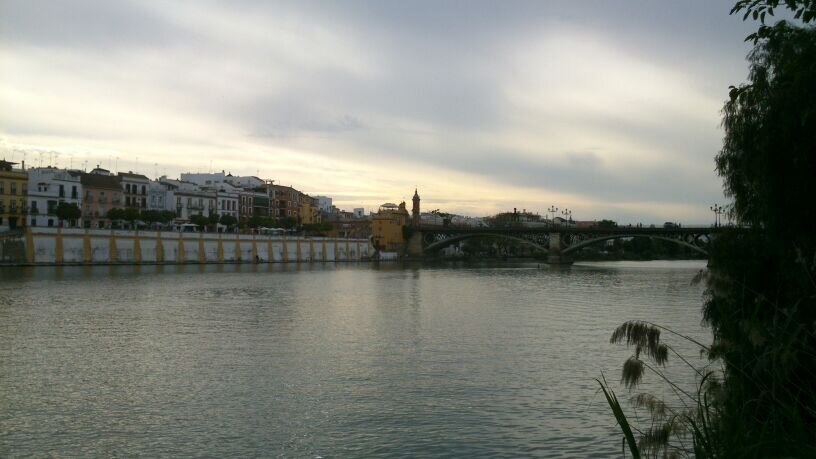 aigomez4783's profile banner image