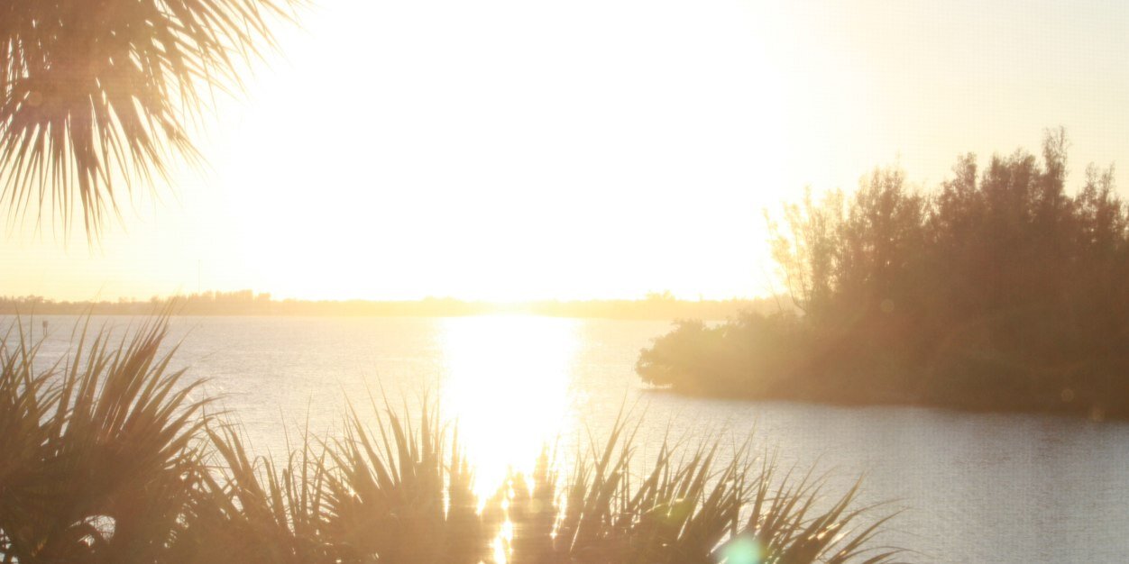 Malissaladd's profile banner image
