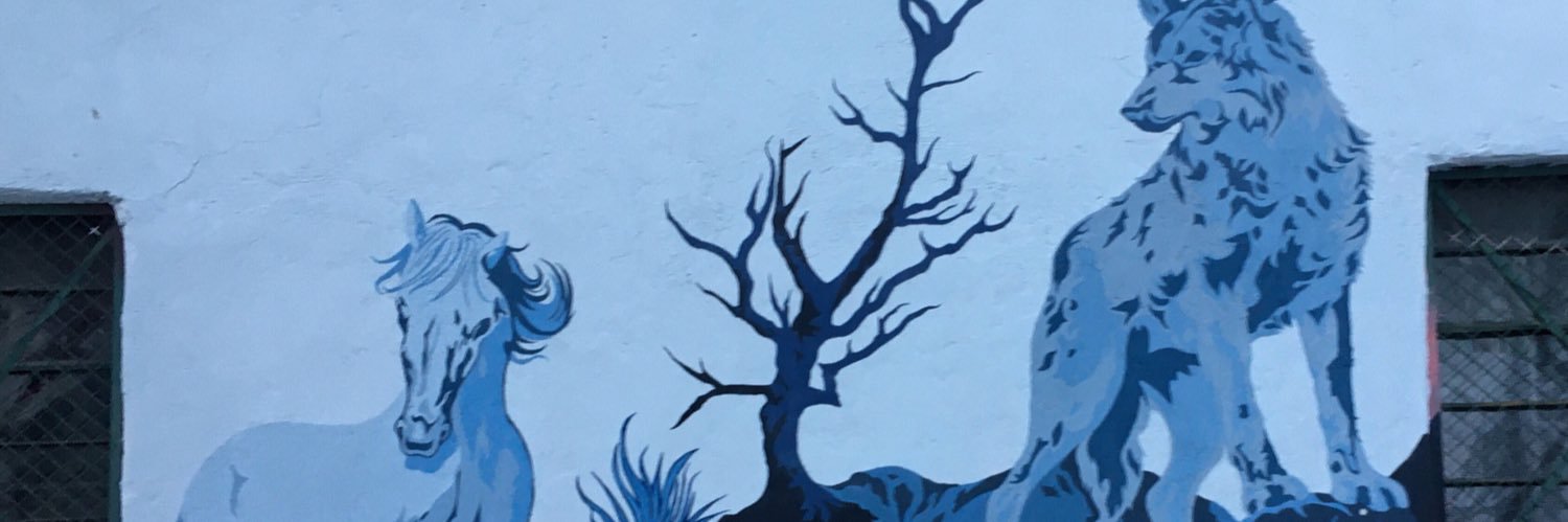 hi_raq_mcv's profile banner image