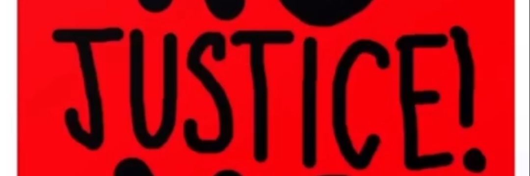 amirigirl's profile banner image
