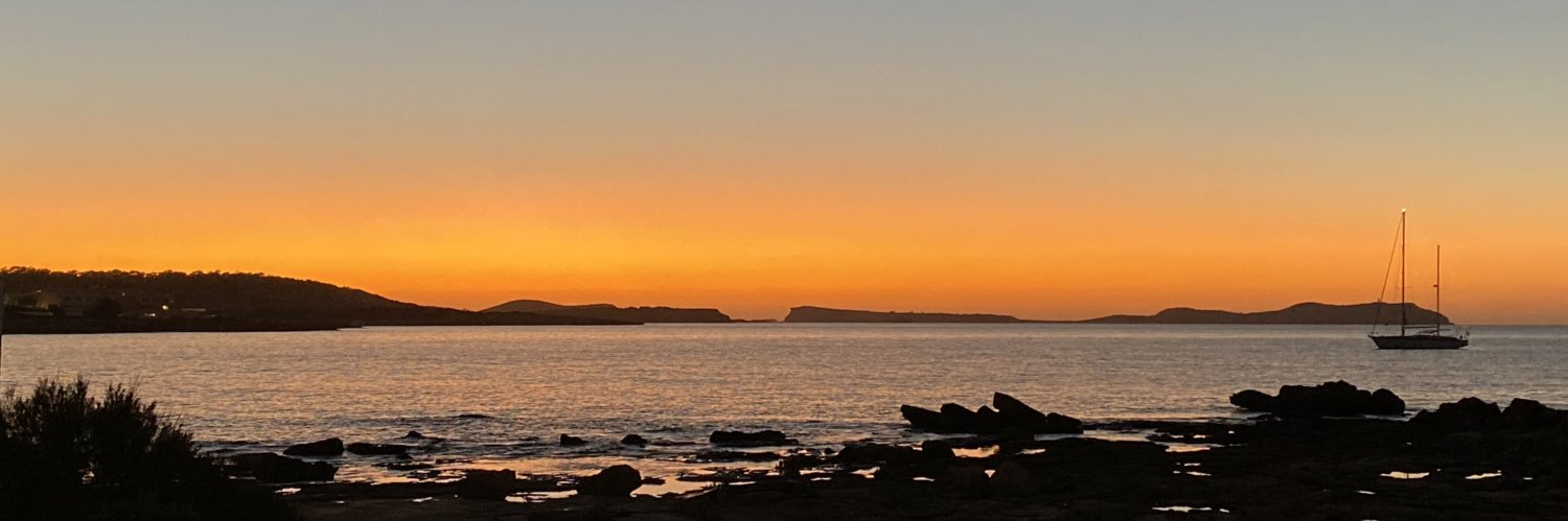 tracyanndaley's profile banner image