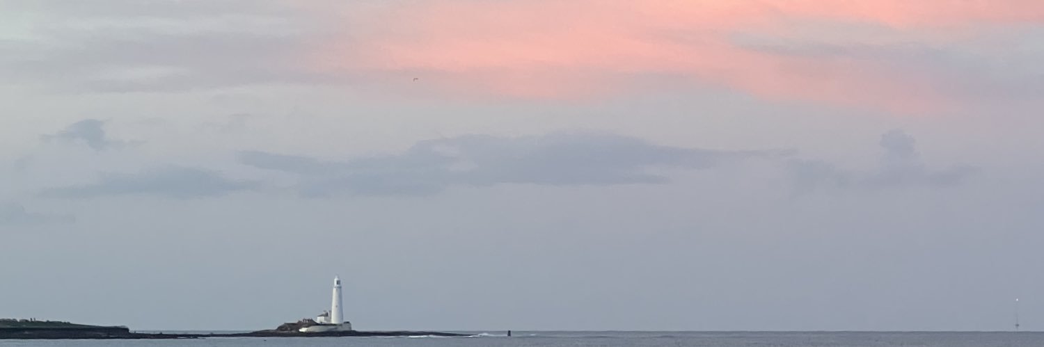 beetleinbed's profile banner image