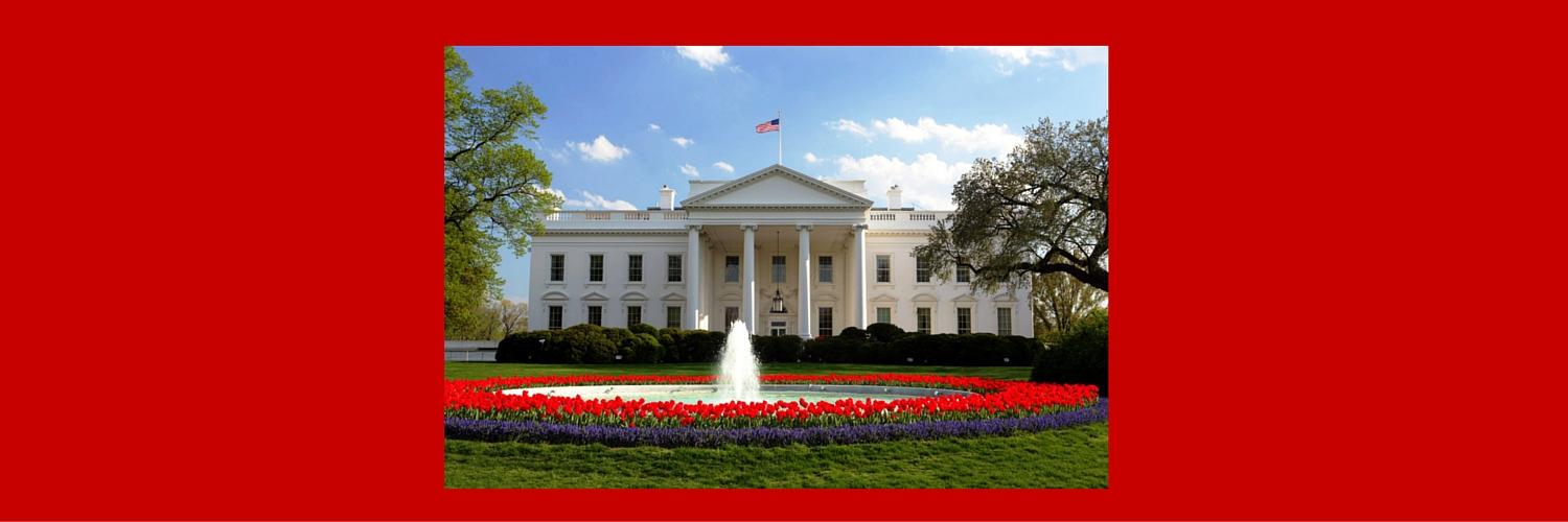 USA Trust Trump banner