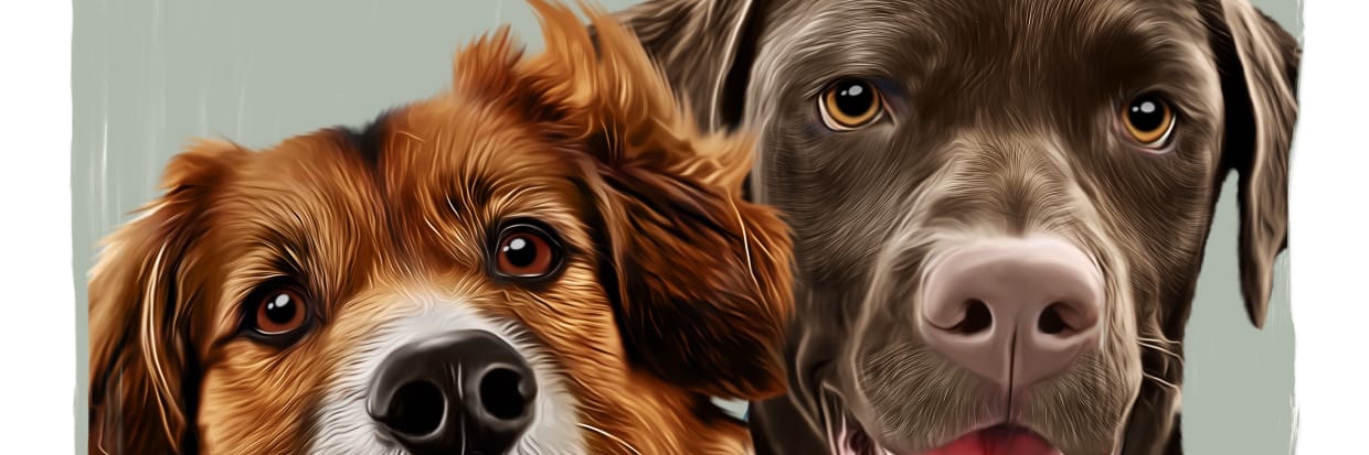 MariaMrmz's profile banner image
