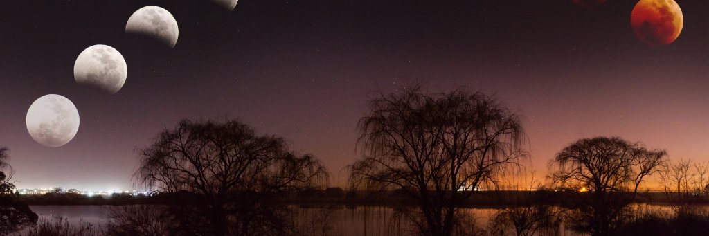 Bevan Wentzel banner