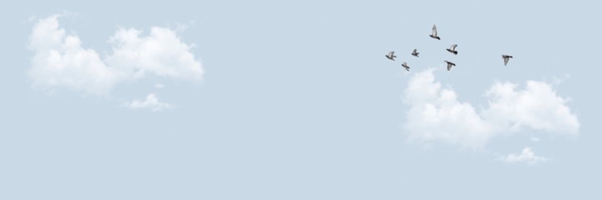 fzZ_011's profile banner image
