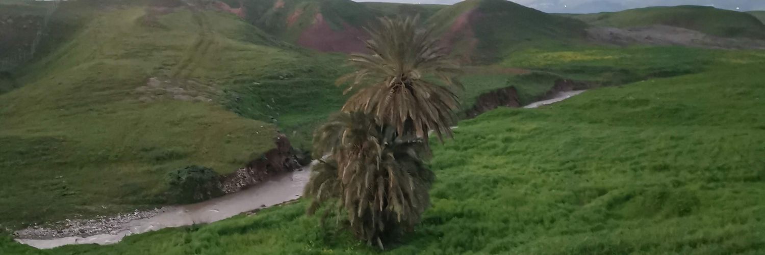 tabanhawezy's profile banner image