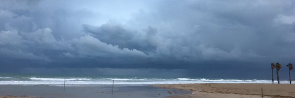 sdelcampocs Profile Banner