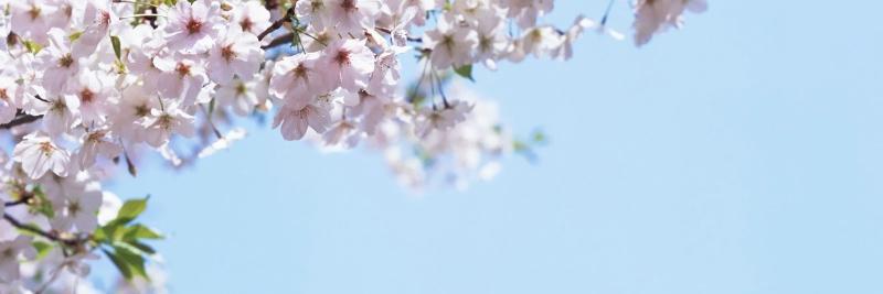 MariaLolamad's profile banner image