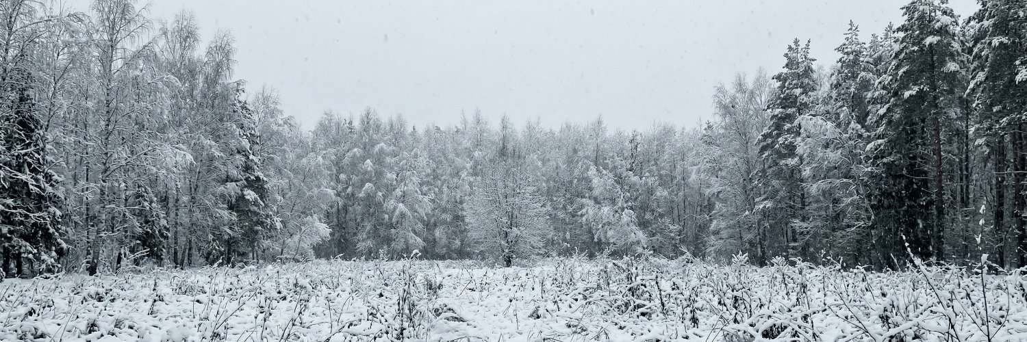 bennscaless's profile banner image