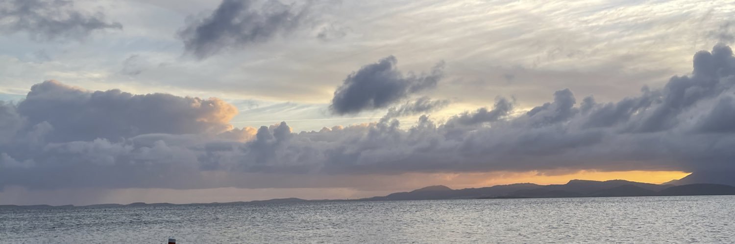 Tajín Mangó banner