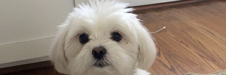 shayla22k's profile banner image