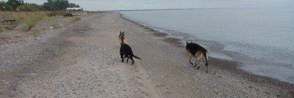 GSD_NUT's profile banner image