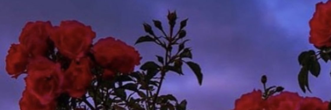 SheDevilXo's profile banner image