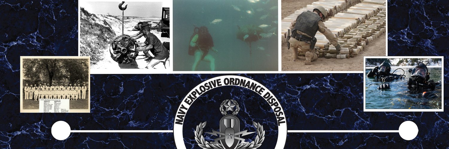 Navy Explosive Ordnance Disposal banner