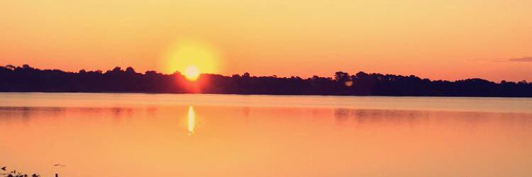 Swelllz's profile banner image