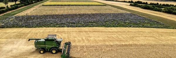 thelostbeaver Profile Banner