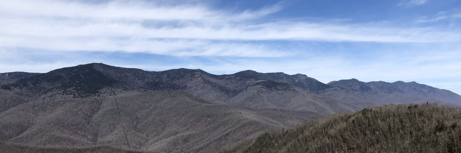 hollybug1010's profile banner image
