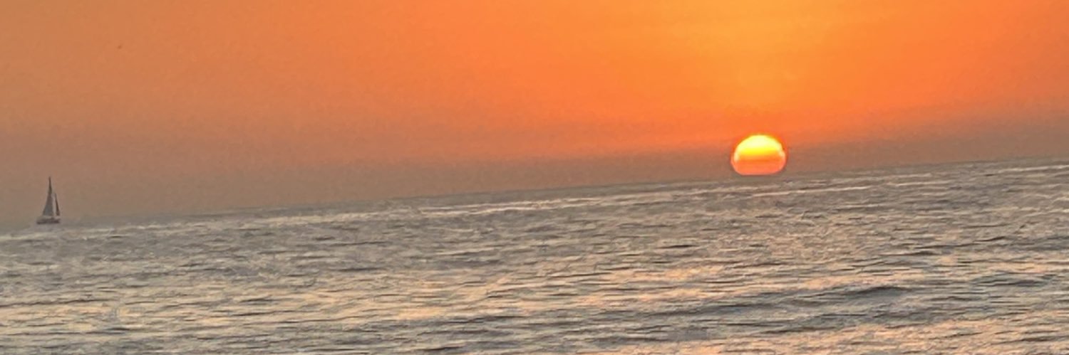 LikePoison_'s profile banner image
