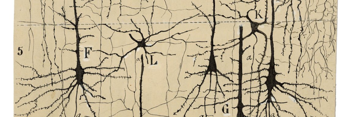 Amir Meghdadi banner