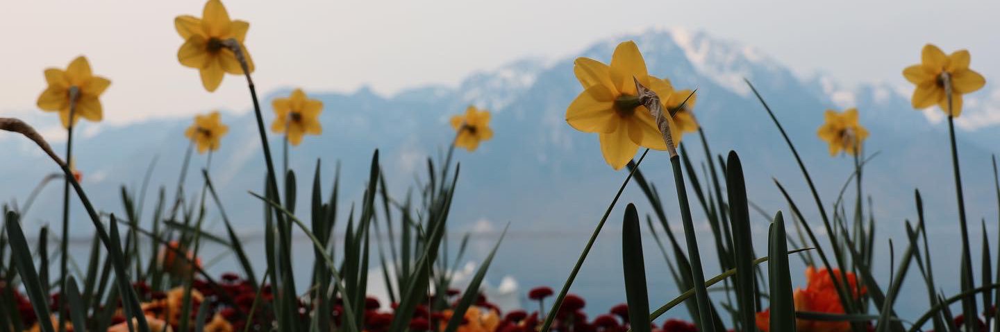 taypowee09's profile banner image
