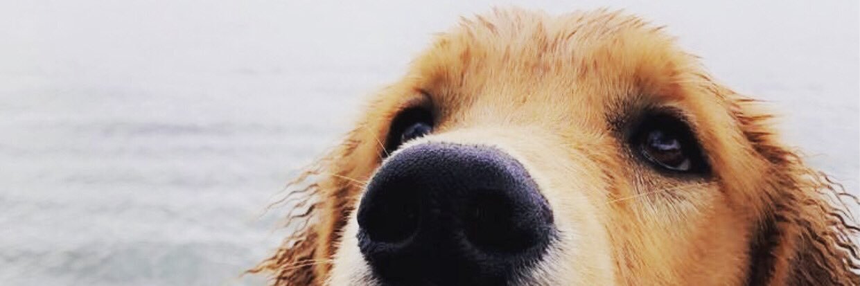 grovedaddy37's profile banner image