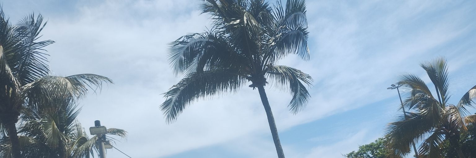 PauLin7S's profile banner image
