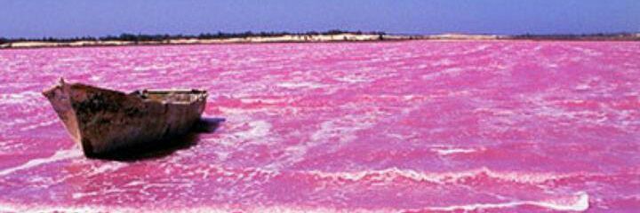 Mawlaya⚪Ⓜ 🇸🇳 banner