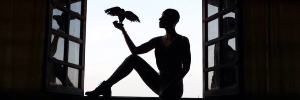 staceybournes's profile banner image