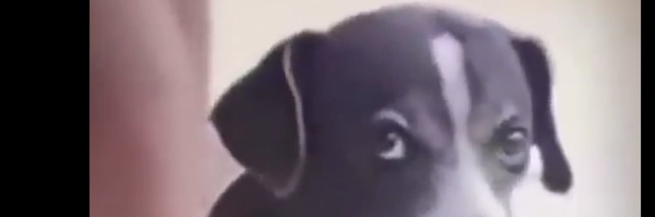 08 banner