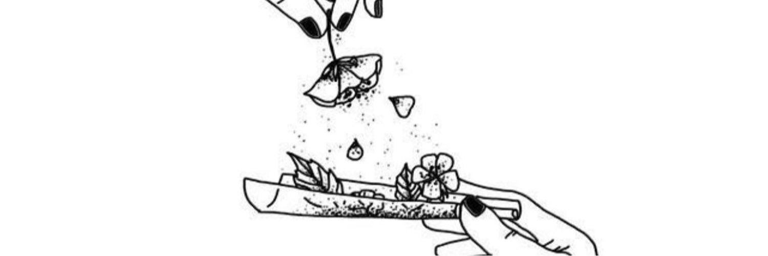 CourtneyDaku's profile banner image