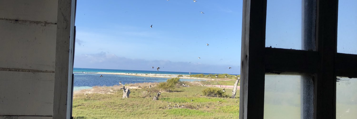 reporteros's profile banner image