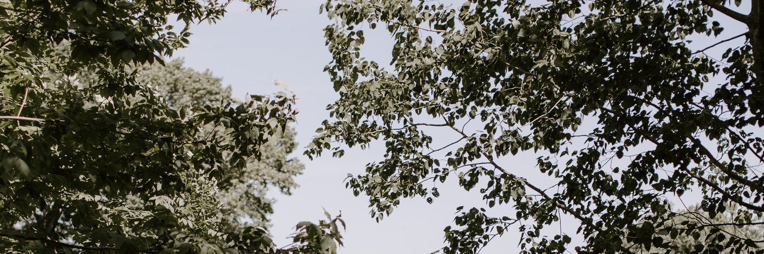 nat_haze's profile banner image