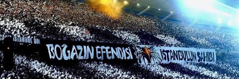 Arif PAŞALIOĞLU 🦅 banner