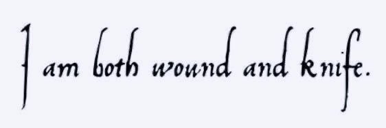 t ₊˚⊹ᰔ banner