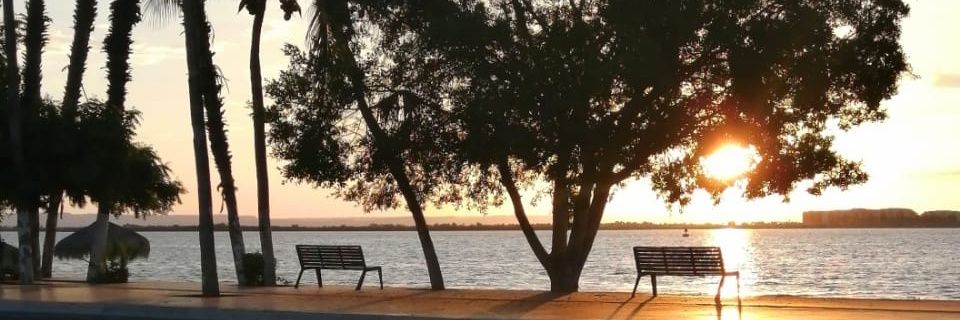 JRoa16's profile banner image