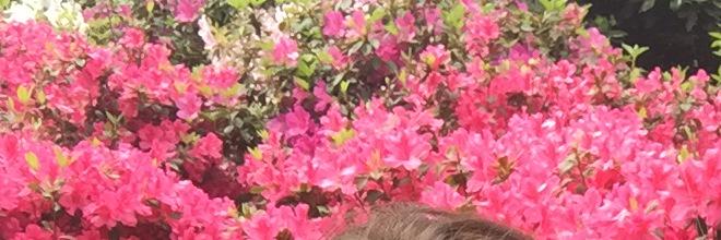 sharonclements's profile banner image