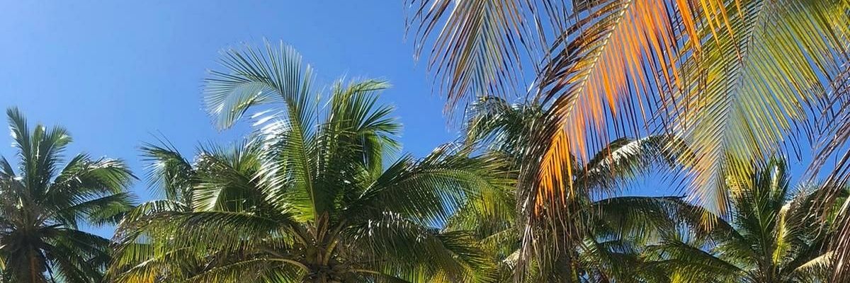 Leml993's profile banner image