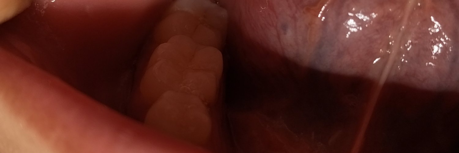 1999UNDECENT's profile banner image