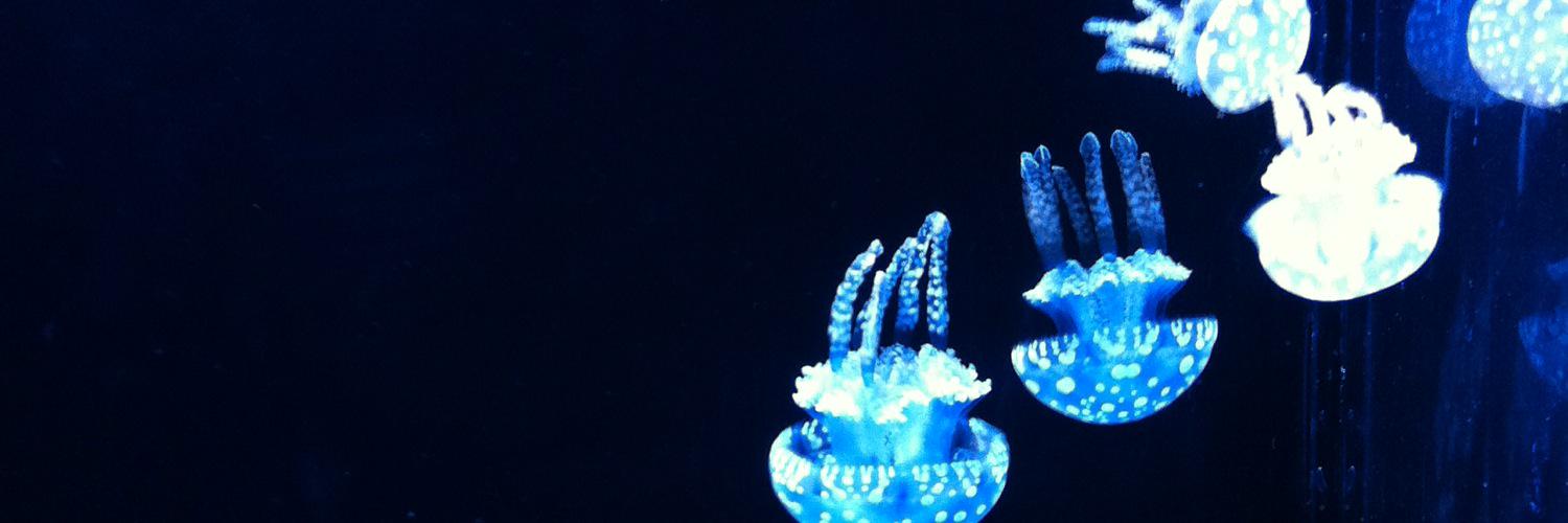 ErickDanielO's profile banner image
