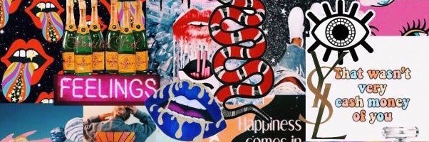 PrincessAshlinn's profile banner image