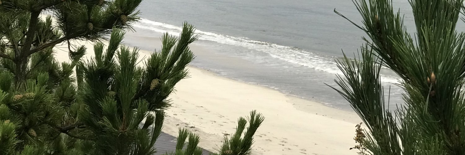 Sbananaj's profile banner image