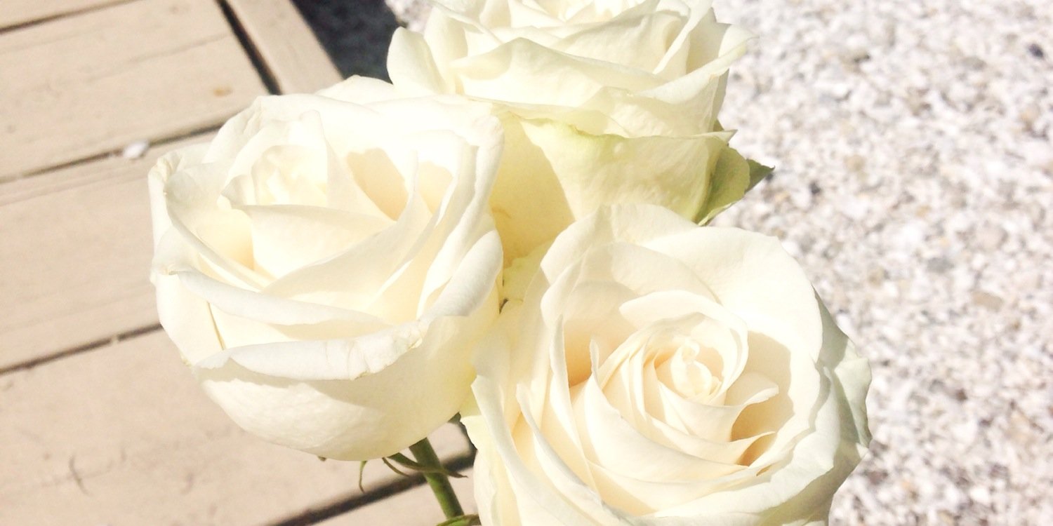 C_Roeth107's profile banner image